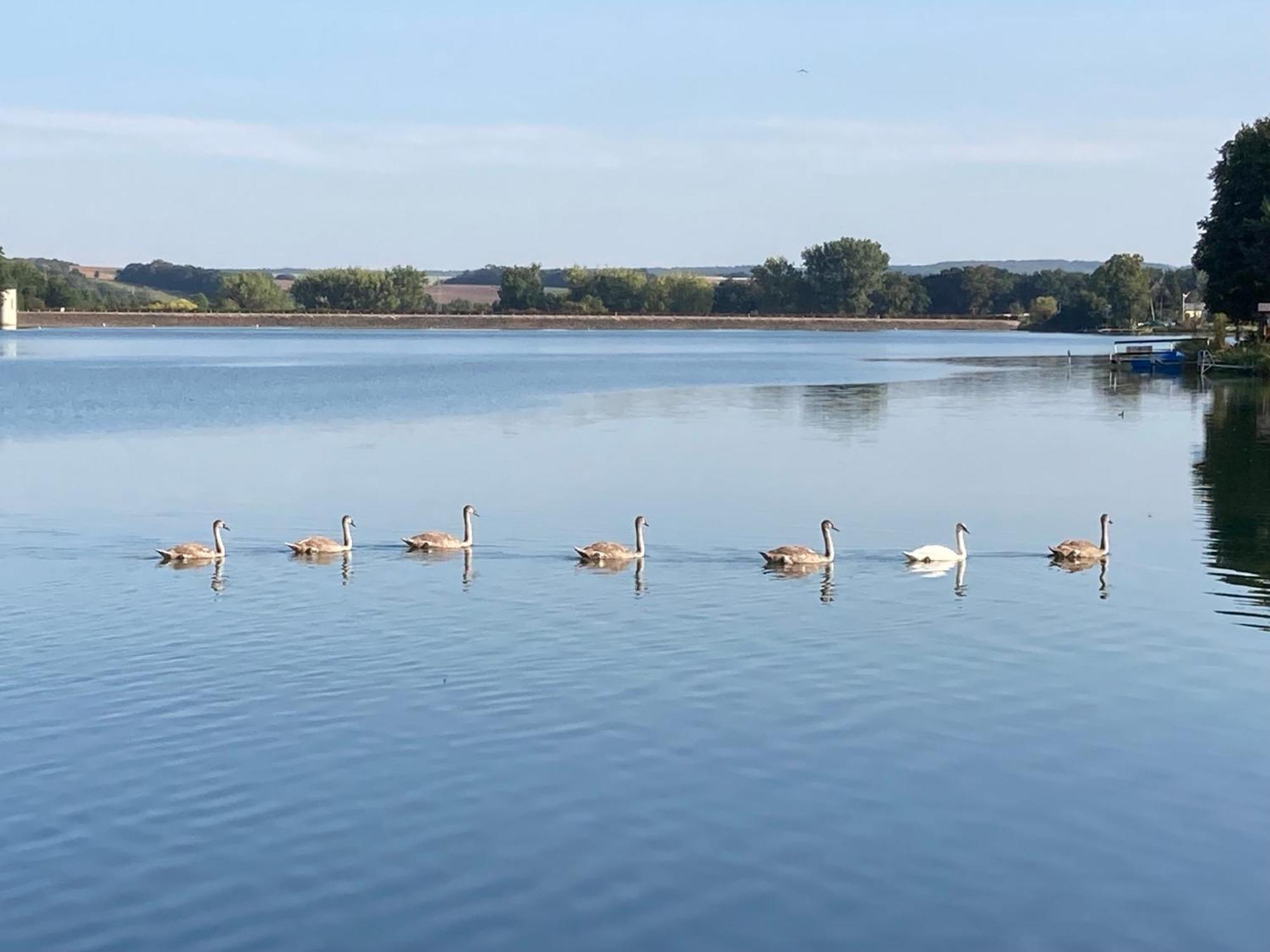 Campingfass Mit Panoramaterrasse Langenbernsdorf المظهر الخارجي الصورة